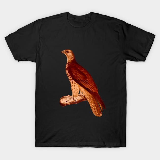 Cherrug Falcon lava T-Shirt by Unalome_Designs